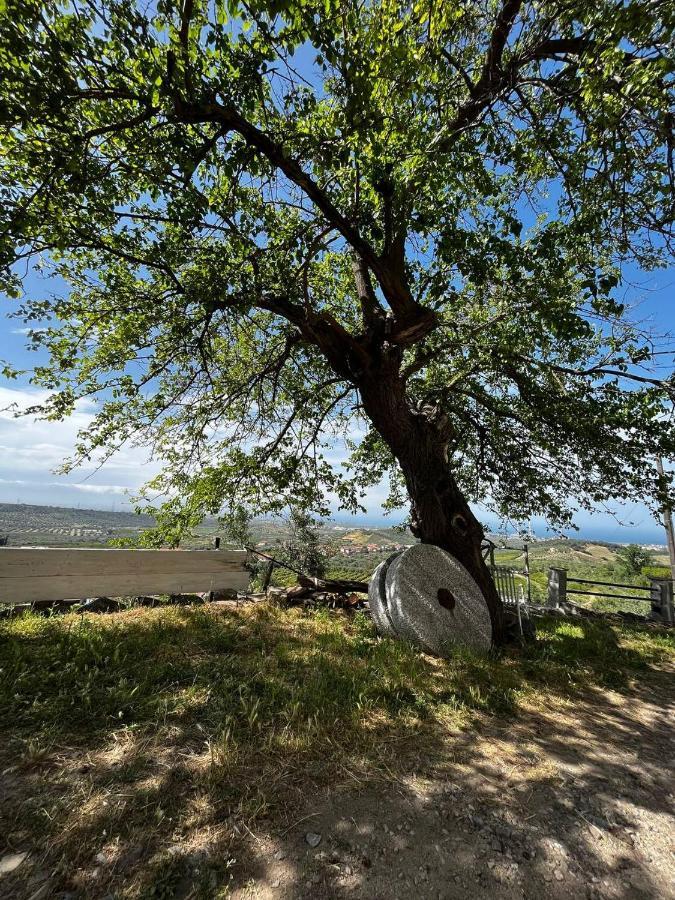 Case San Francesco Casa Maria Host Green - Casa Vacanze - Rossano מראה חיצוני תמונה
